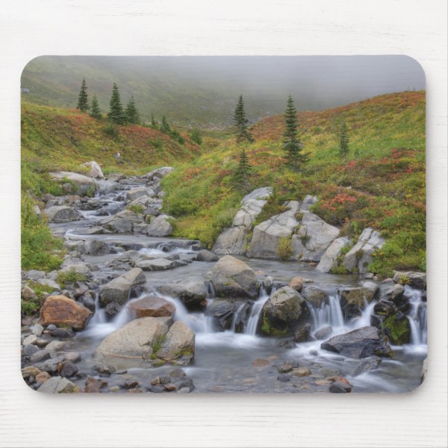 WA, Mt. Rainier nationalpark, Edith Creek Musmatta (Framsidan)