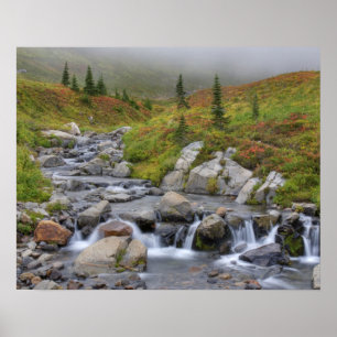 WA, Mt. Rainier nationalpark, Edith Creek Poster