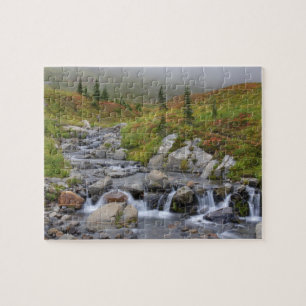 WA, Mt. Rainier nationalpark, Edith Creek Pussel