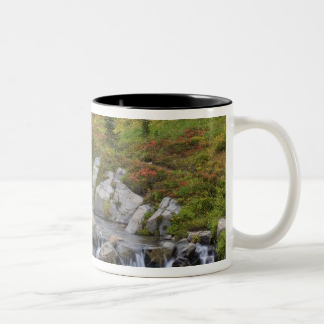 WA, Mt. Rainier nationalpark, Edith Creek Två-Tonad Mugg (Höger)