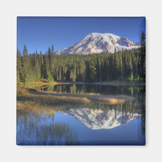 WA, Mt. Rainier nationalpark, Mt. Rainier Magnet (Framsidan)