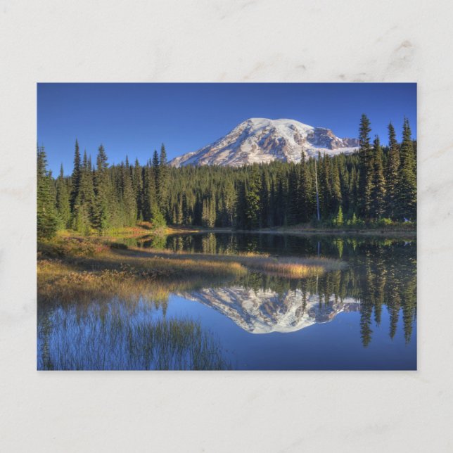 WA, Mt. Rainier nationalpark, Mt. Rainier Vykort (Framsida)