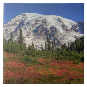 WA, Mt. Rainier nationalpark, Paradise Valley Kakelplatta