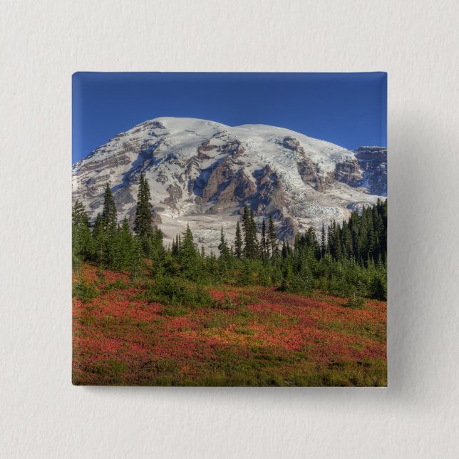WA, Mt. Rainier nationalpark, Paradise Valley Knapp (Framsida)