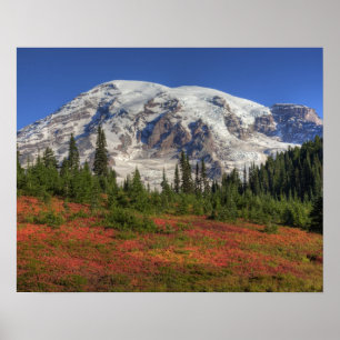 WA, Mt. Rainier nationalpark, Paradise Valley Poster
