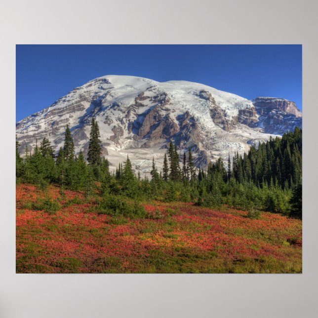WA, Mt. Rainier nationalpark, Paradise Valley Poster (Framsidan)