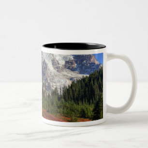 WA, Mt. Rainier nationalpark, Paradise Valley Två-Tonad Mugg