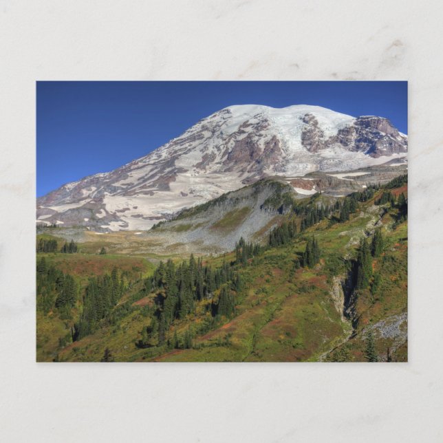 WA, Mt. Rainier nationalpark, utsikt från Vykort (Framsida)
