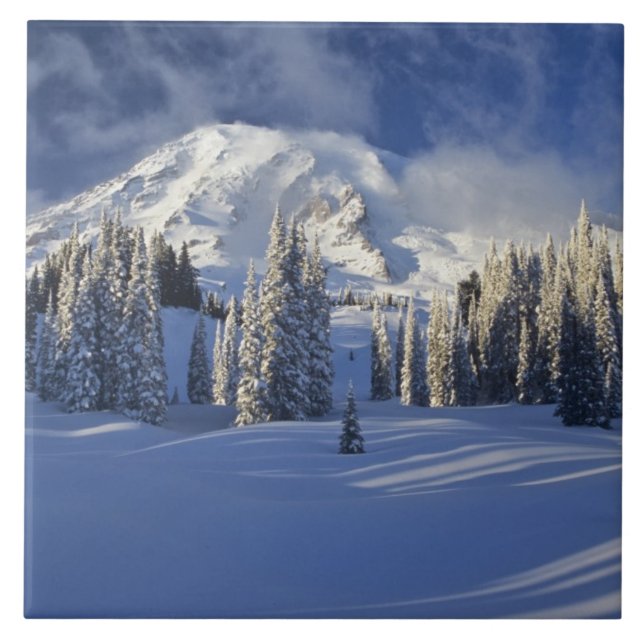 WA, Mt. Rainier NP, Mt. Rainier och Paradise Kakelplatta (Framsidan)