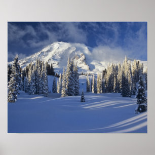 WA, Mt. Rainier NP, Mt. Rainier och Paradise Poster