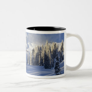 WA, Mt. Rainier NP, Mt. Rainier och Paradise Två-Tonad Mugg