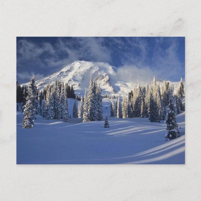 WA, Mt Rainier NP, Mt. Rainier och Paradise Vykort (Framsida)