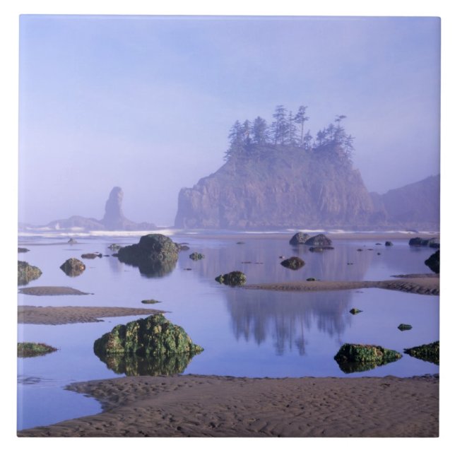 WA, Olympic National Park, Second Beach Kakelplatta (Framsidan)