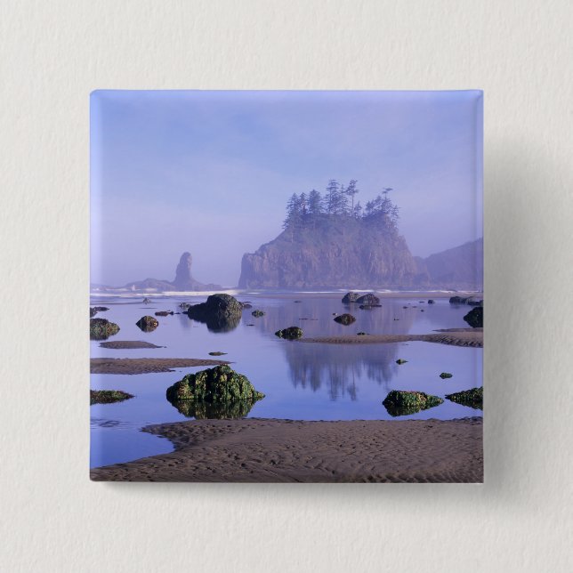 WA, Olympic National Park, Second Beach, Knapp (Framsida)