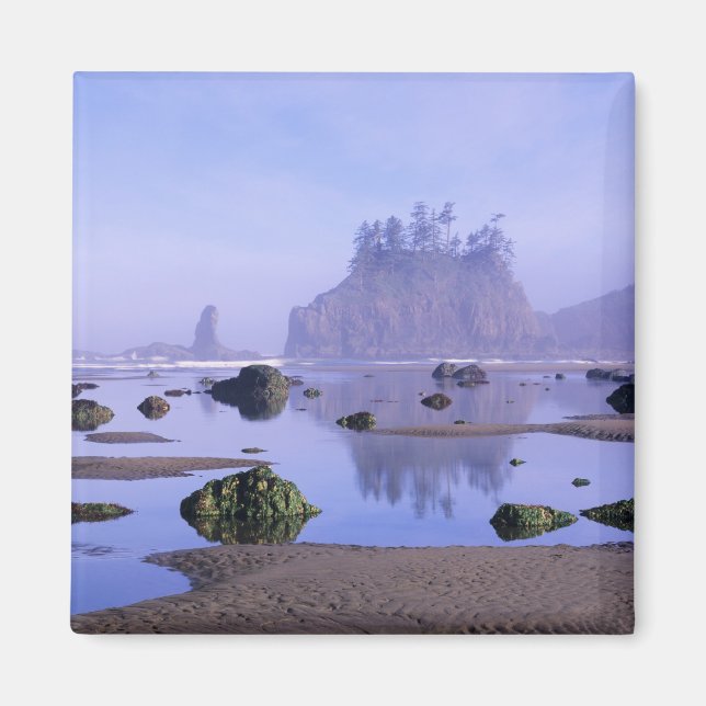WA, Olympic National Park, Second Beach Magnet (Framsidan)