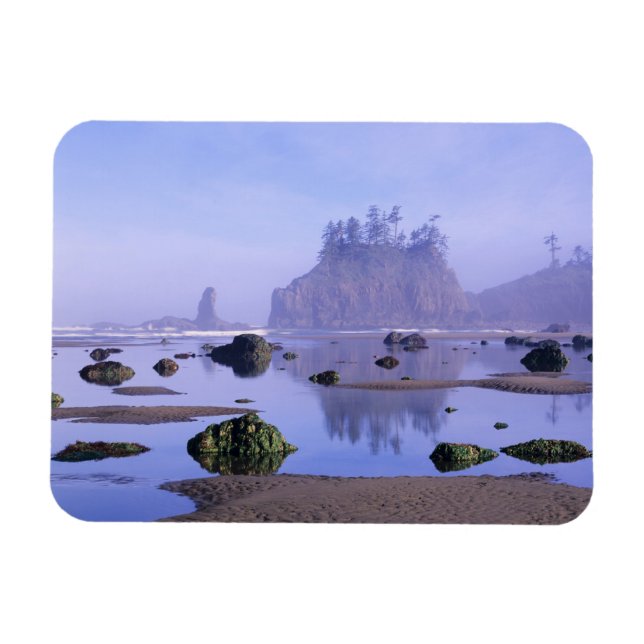 WA, Olympic National Park, Second Beach Magnet (Horisontell)