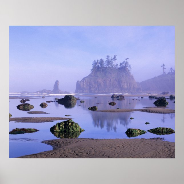 WA, Olympic National Park, Second Beach Poster (Framsidan)