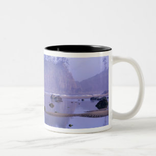 WA, Olympic National Park, Second Beach, Två-Tonad Mugg