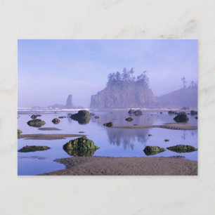 WA, Olympic National Park, Second Beach, Vykort