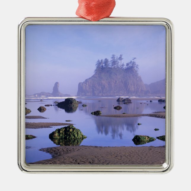 WA, Olympic nationalpark, Second Beach, Julgransprydnad Metall (Framsidan)