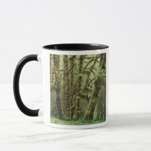 WA, Olympic NP, Hoh regnskog, Hall of Mugg