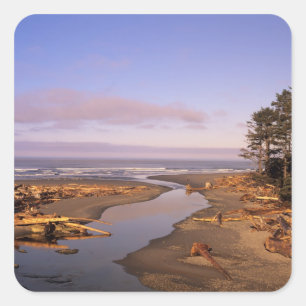 WA, Olympic NP, Kalaloch Beach och Kalaloch Fyrkantigt Klistermärke