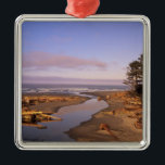 WA, Olympic NP, Kalaloch Beach och Kalaloch Julgransprydnad Metall<br><div class="desc">COPYRIGHT Jamie & Judy Wild / SuperStock.com | US48 JWI1316.jpg | WA,  Olympic NP,  Kalaloch Beach och Kalaloch Creek</div>