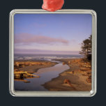 WA, Olympic NP, Kalaloch Beach och Kalaloch Julgransprydnad Metall<br><div class="desc">COPYRIGHT Jamie & Judy Vild / DanitaDelimont.com| US48 JWI1316.jpg| WA,  Olympic NP,  Kalaloch Beach och Kalaloch Bäck</div>