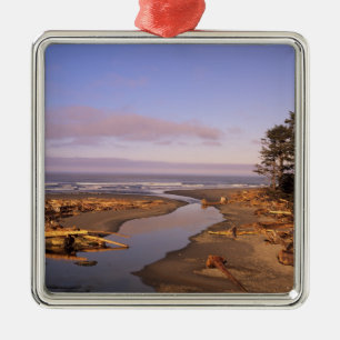 WA, Olympic NP, Kalaloch Beach och Kalaloch Julgransprydnad Metall