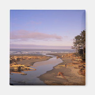 WA, Olympic NP, Kalaloch Beach och Kalaloch Magnet