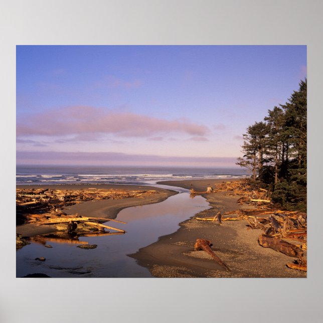 WA, Olympic NP, Kalaloch Beach och Kalaloch Poster (Framsidan)