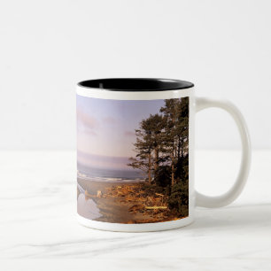 WA, Olympic NP, Kalaloch Beach och Kalaloch Två-Tonad Mugg