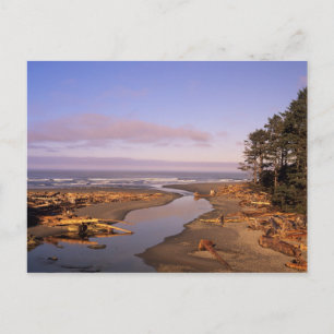 WA, Olympic NP, Kalaloch Beach och Kalaloch Vykort