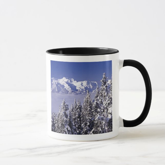 WA, Olympic NP, Olympiska bergskedjan, utsikt Mugg (Höger)