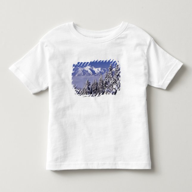 WA, Olympic NP, Olympiska bergskedjan, utsikt Tee (Framsida)
