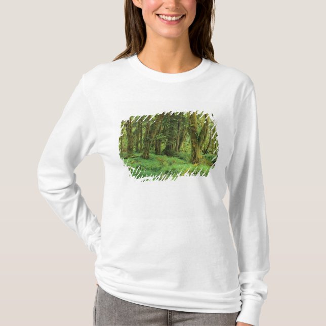 WA, Olympic NP, Quinault Rain Forest, moss T Shirt (Framsida)