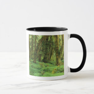 WA, Olympic NP, Quinault regnskog, mossa Mugg