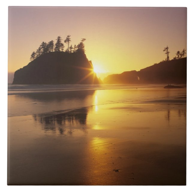 WA, Olympic NP, Second Beach vid solnedgång Kakelplatta (Framsidan)