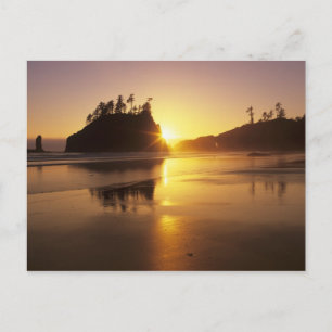 WA, Olympic NP, Second Beach vid solnedgång Vykort