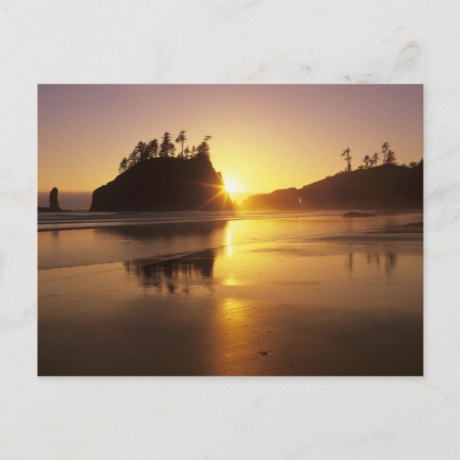 WA, Olympic NP, Second Beach vid solnedgång Vykort (Framsida)