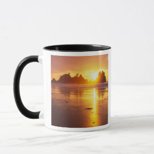 WA, Olympic NP, Shi Shi-stranden vid solnedgång, P Mugg