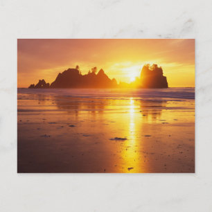 WA, Olympic NP, Shi Shi-stranden vid solnedgång, P Vykort