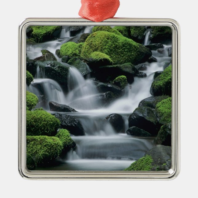 WA, Olympic NP, Sol Duc Valley, bäck med Julgransprydnad Metall (Framsidan)
