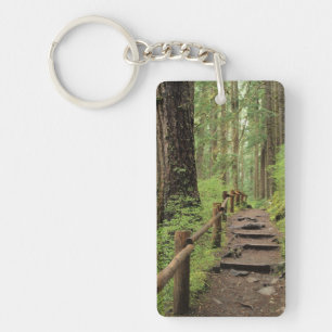 WA, Olympic NP, Sol Duc Valley, regnskog