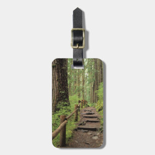 WA, Olympic NP, Sol Duc Valley, regnskog Bagagebricka