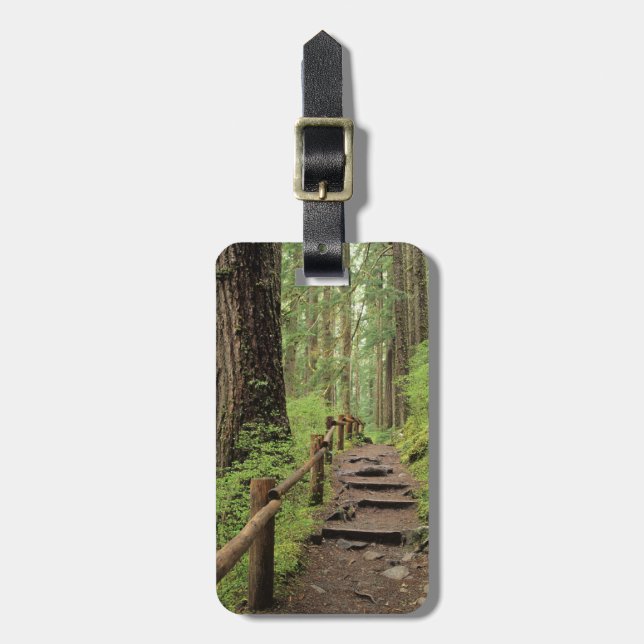 WA, Olympic NP, Sol Duc Valley, regnskog Bagagebricka (Vertikal Framsida)