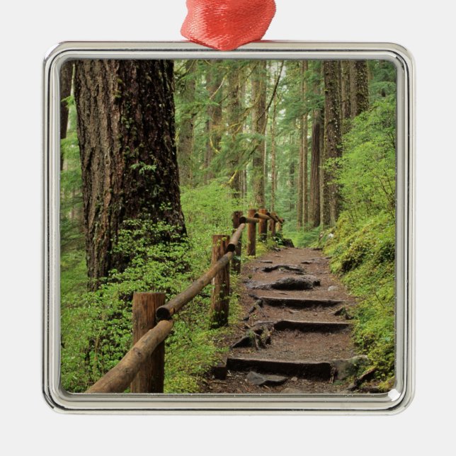 WA, Olympic NP, Sol Duc Valley, regnskog Julgransprydnad Metall (Framsidan)