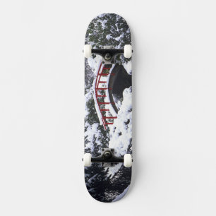 WA, Seattle, Månbro och damm efter vintern 2 Mini Skateboard Bräda 18,5 Cm