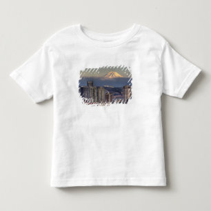 WA, Seattle, Mount Rainier från Kerry Park Tee