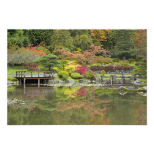 WA, Seattle, Washington Park Arboretum, 3 Fototryck